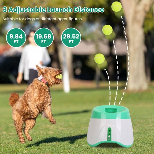 Lanzador automático de pelotas para perros - pelotas incluidas