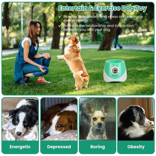 Lanzador automático de pelotas para perros - con mascota jugando