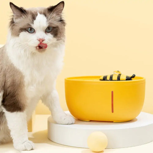 Fuente de agua automática para mascotas - medidas