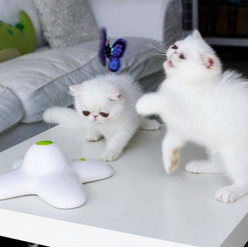 Juguete Interactivo para Gatos — Mariposa